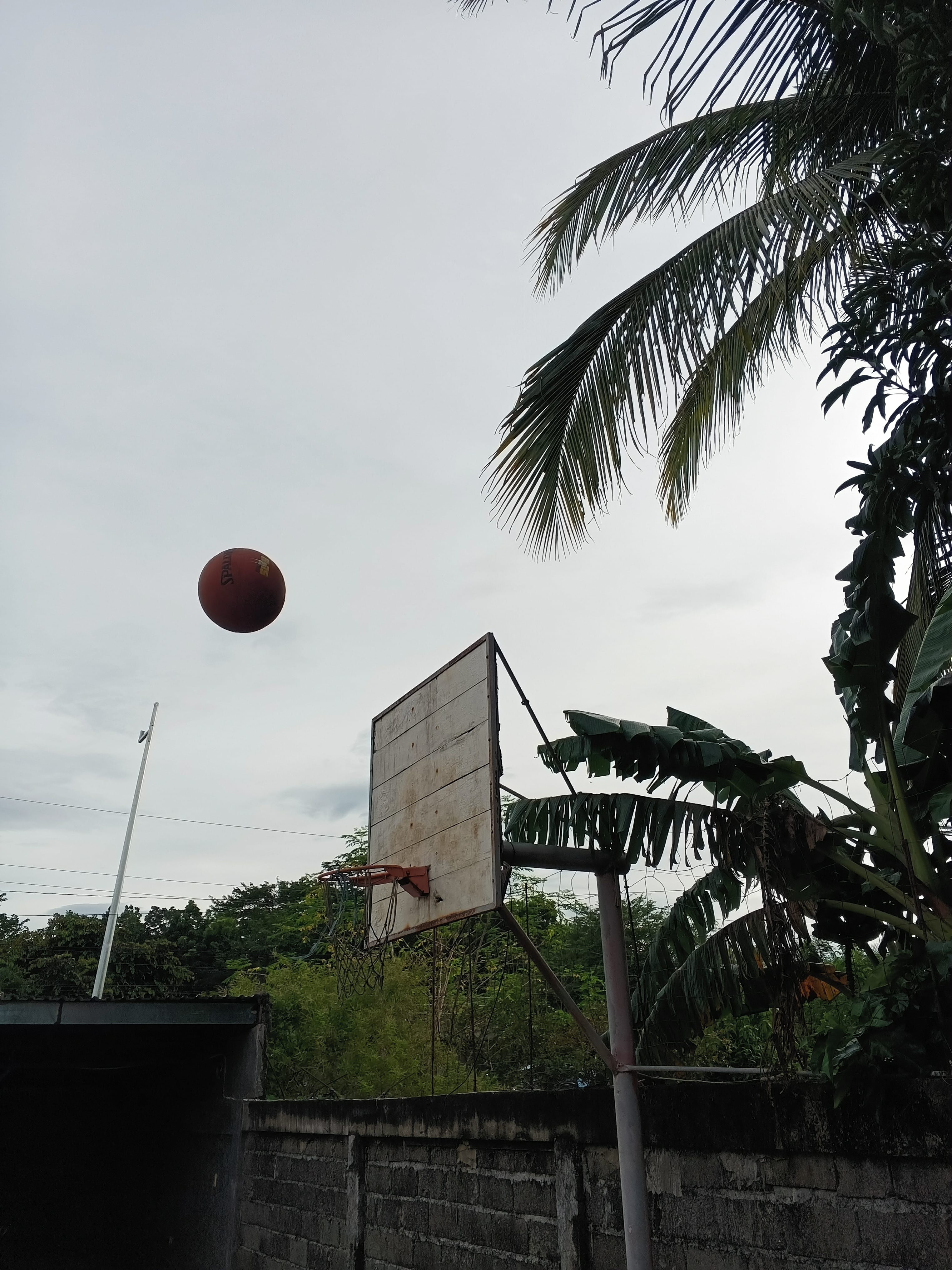 Basketball